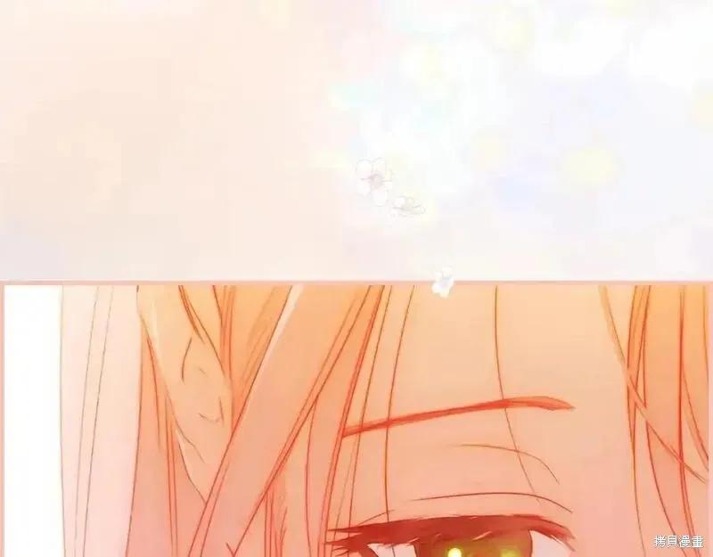 第306页