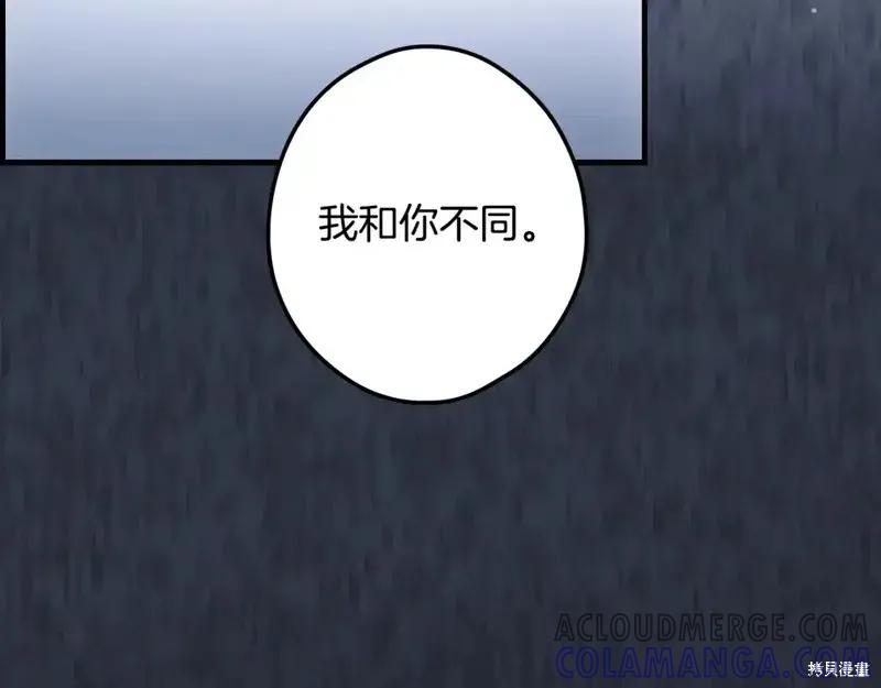 第221页