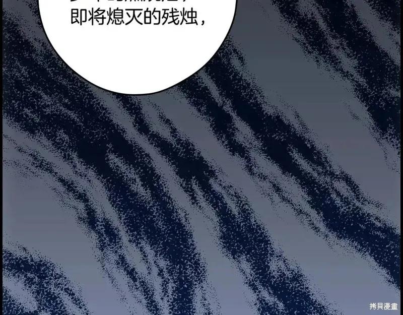 第223页