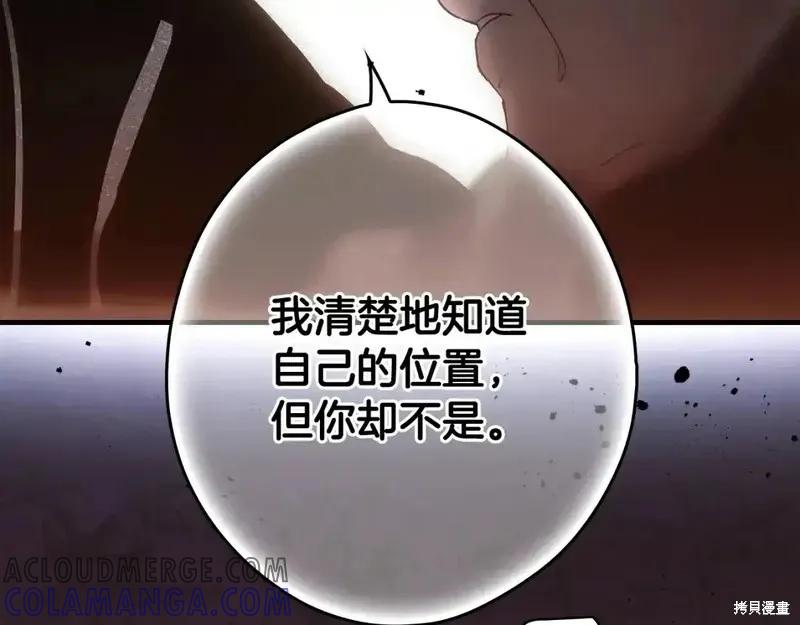 第229页