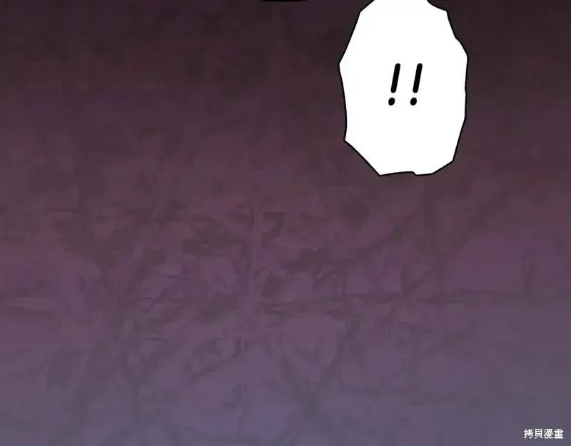 第230页