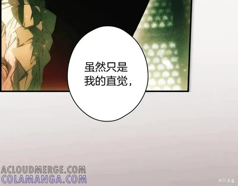 第205页