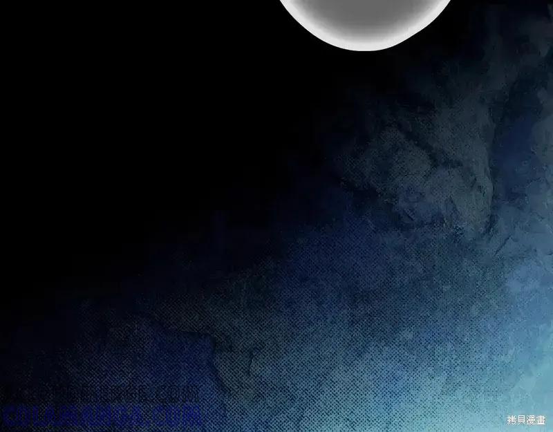 第217页