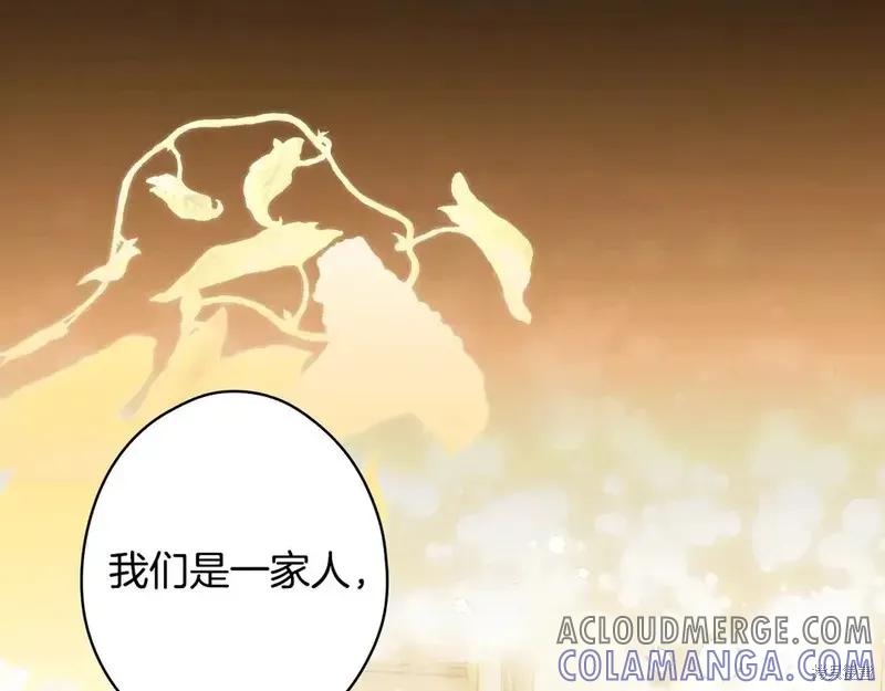 第229页