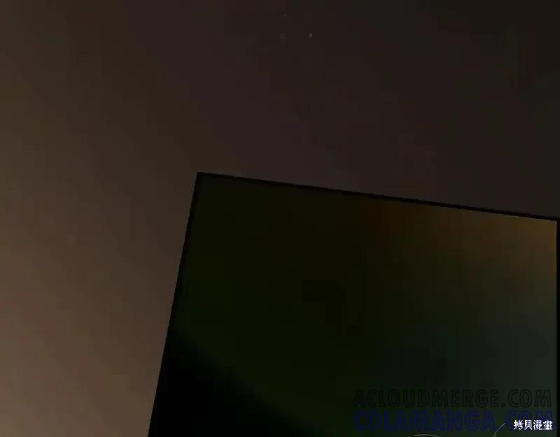 第237页