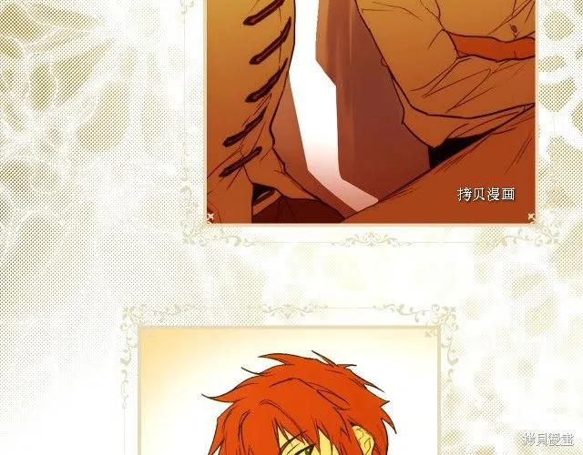 第204页