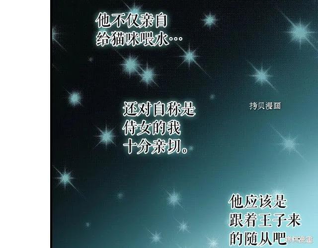 第204页