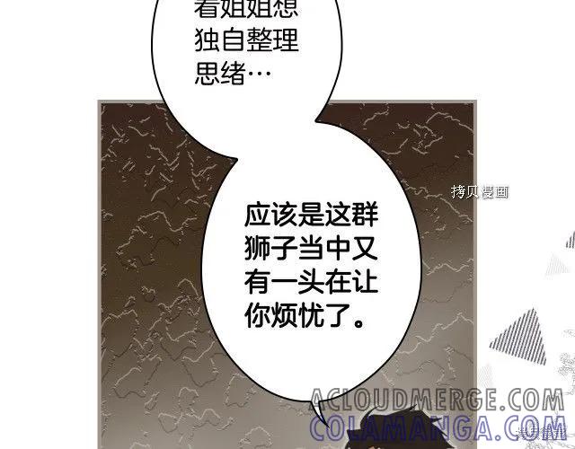 第205页