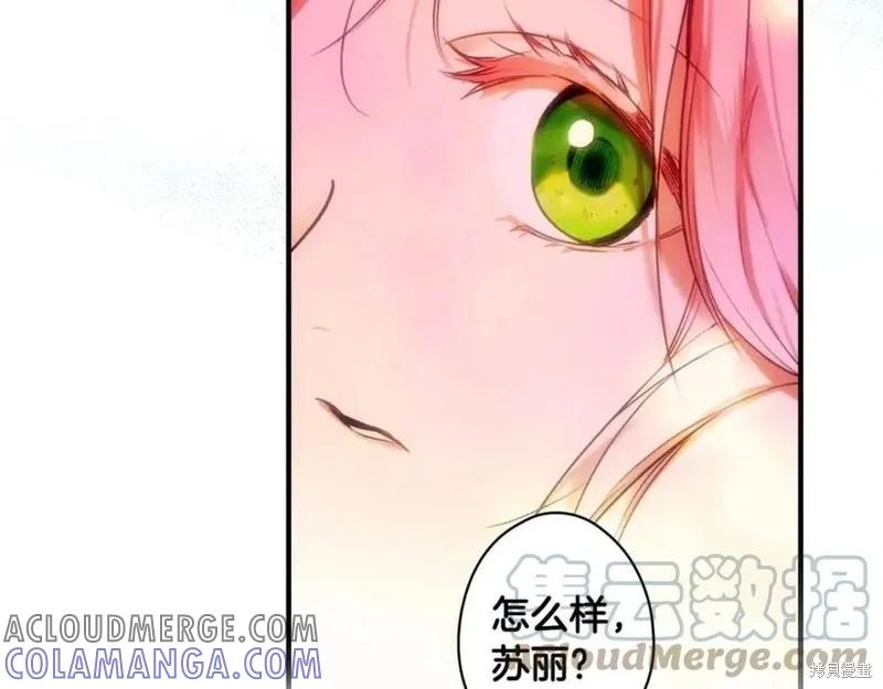 第185页