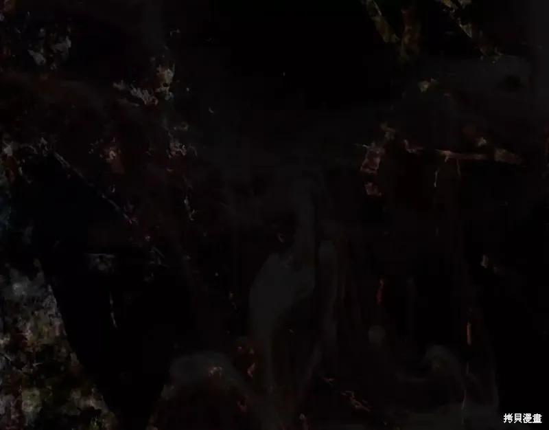 第236页