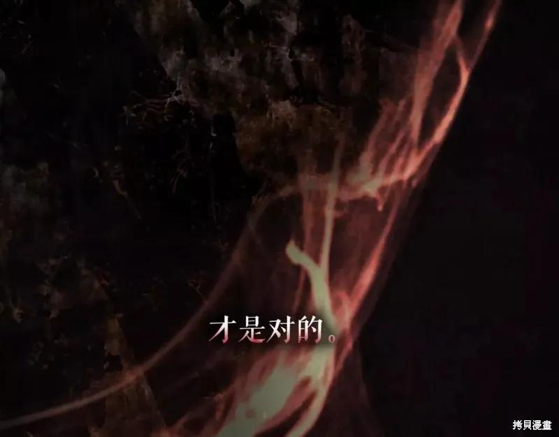 第238页