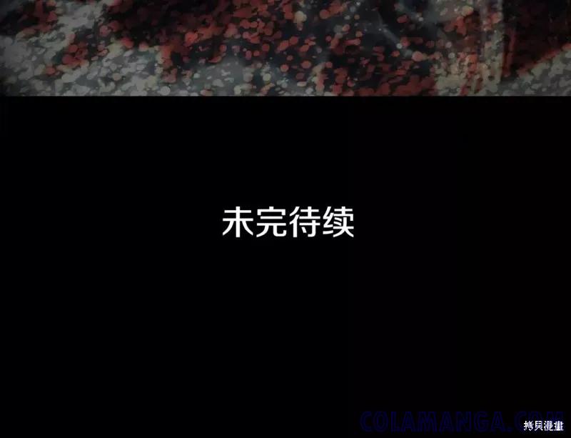 第241页