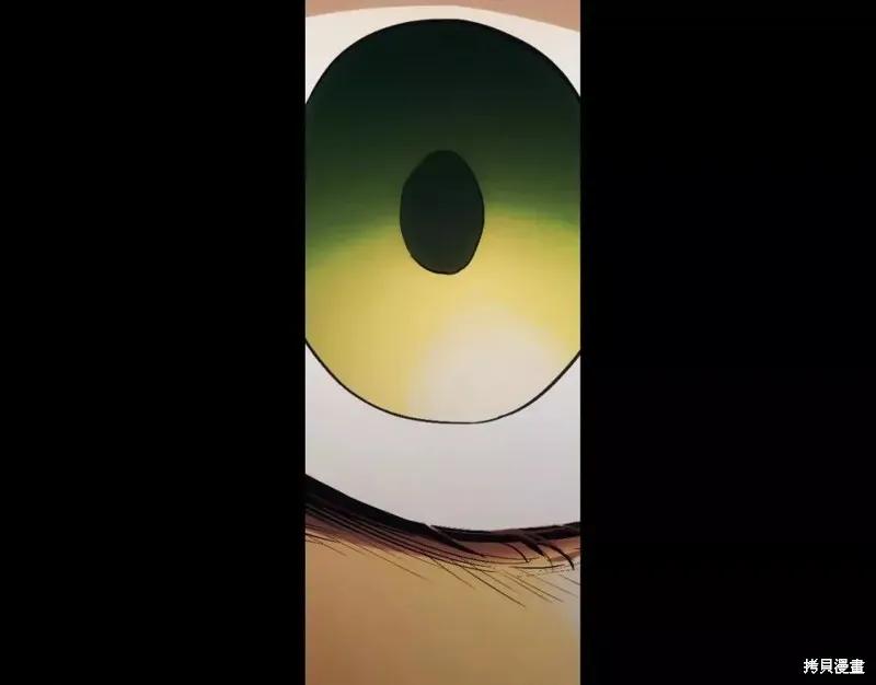 第223页