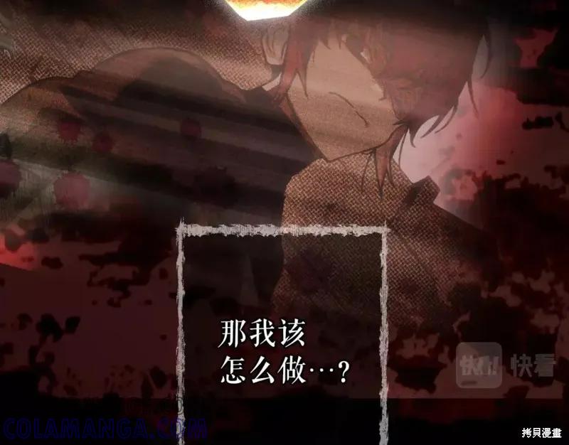 第233页