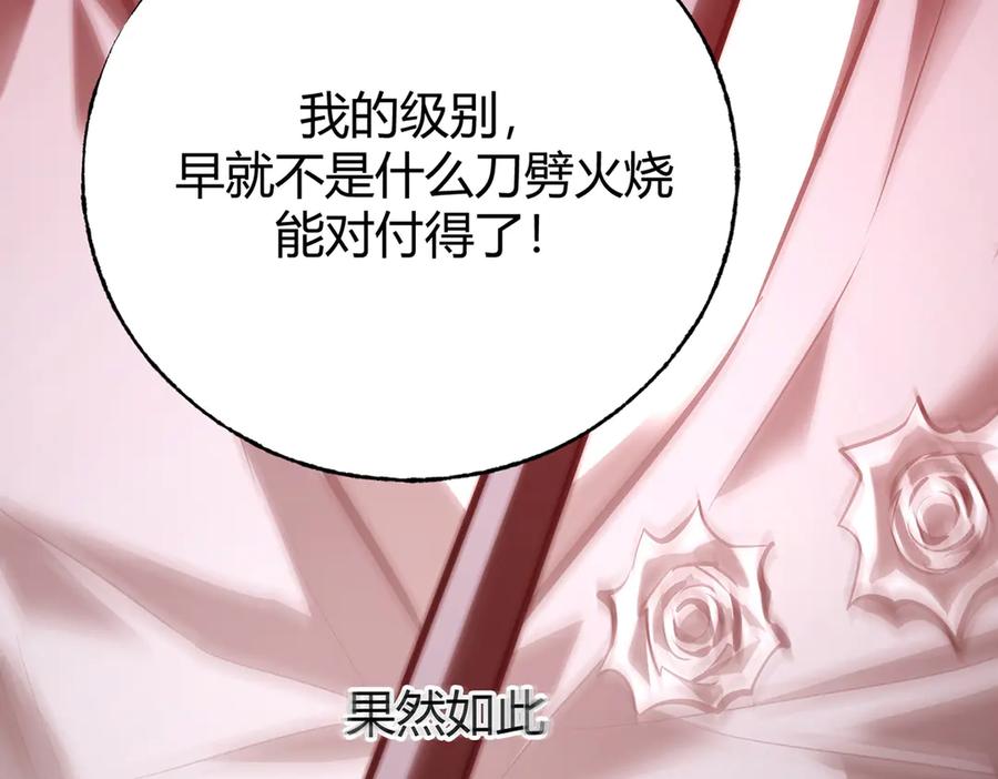 第223页