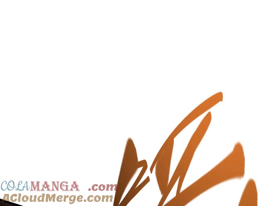 第241页