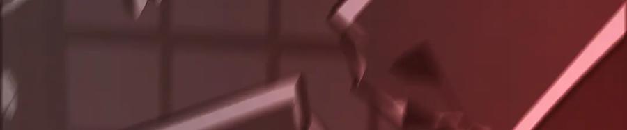 第244页