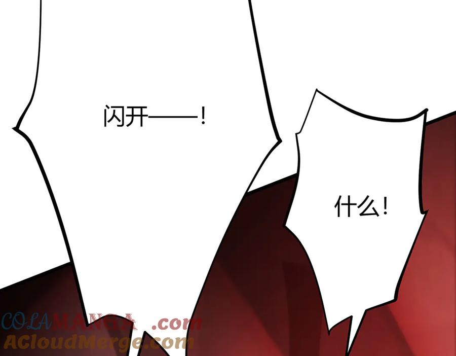 第221页
