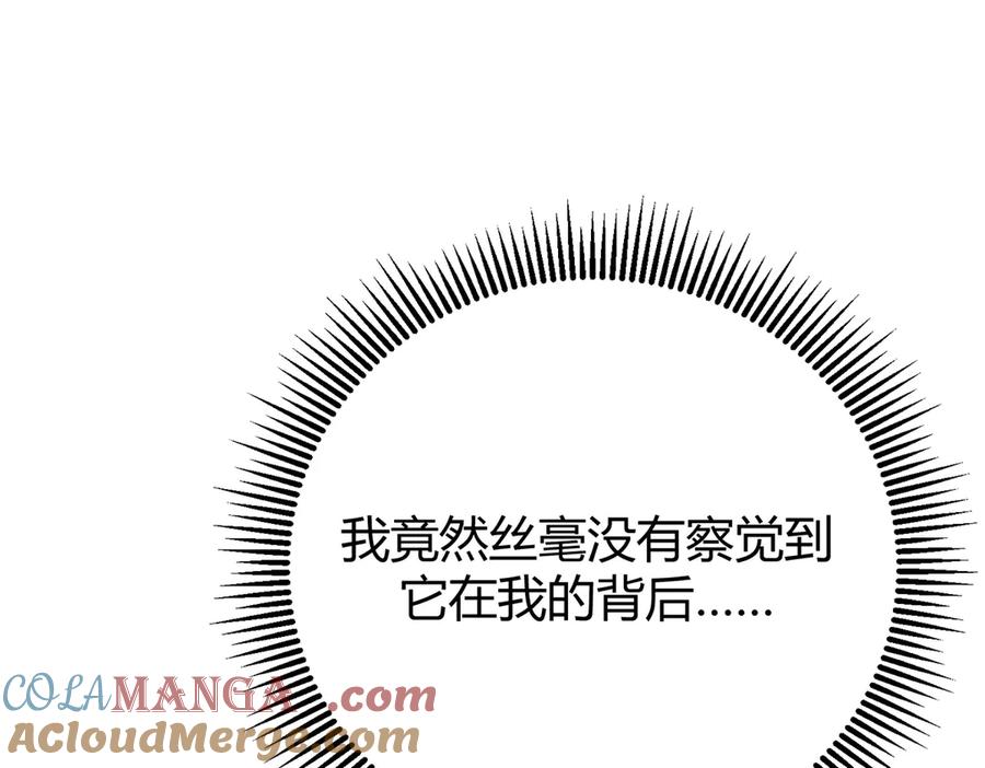 第229页