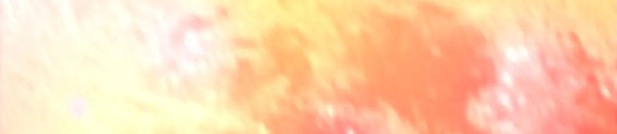 第256页