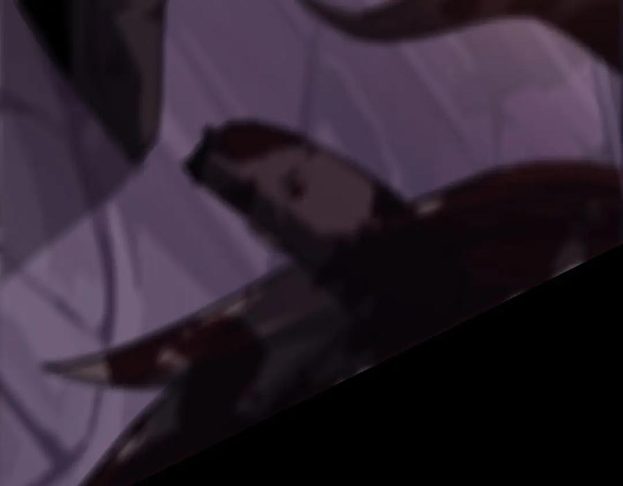 第255页