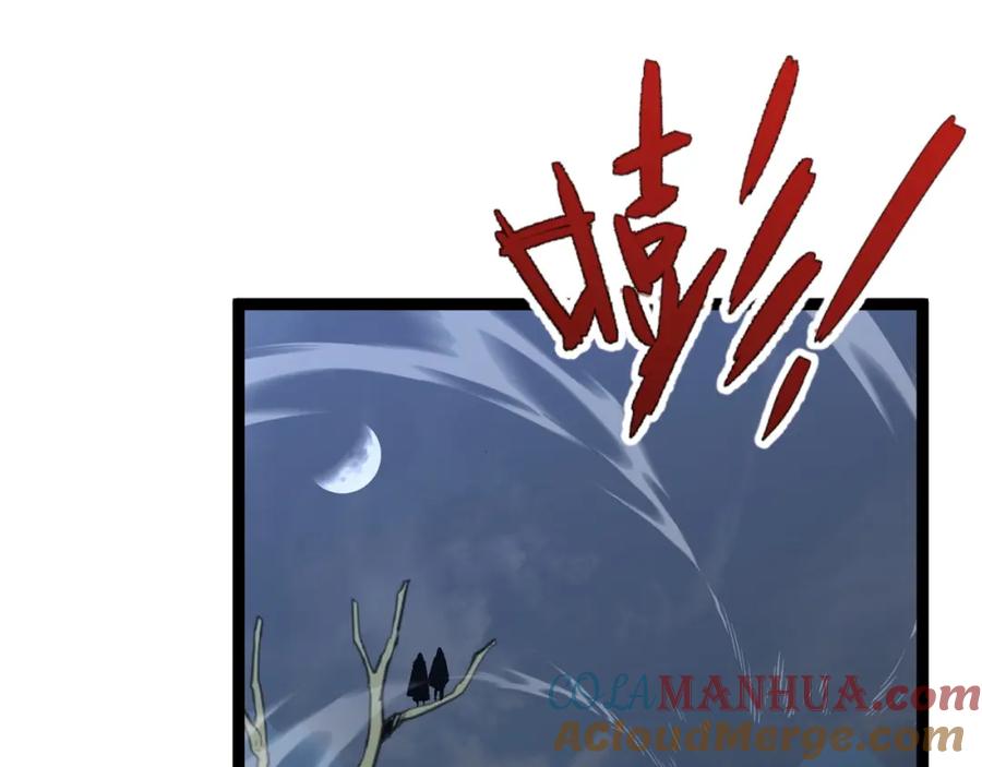 第185页