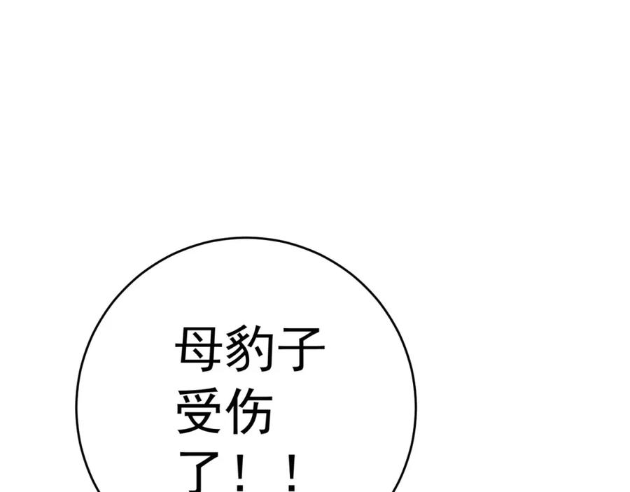 第194页