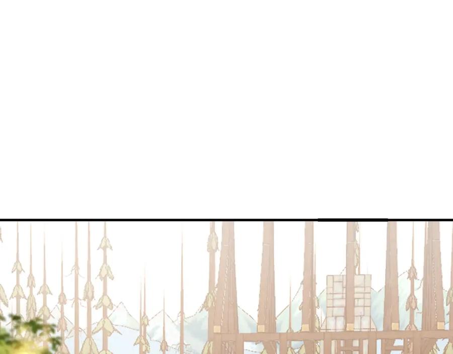 第255页