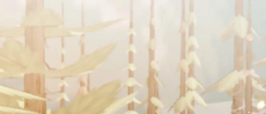 第244页