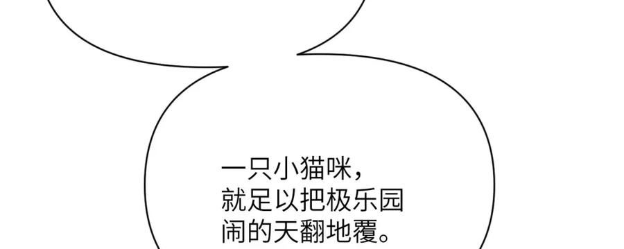 第248页