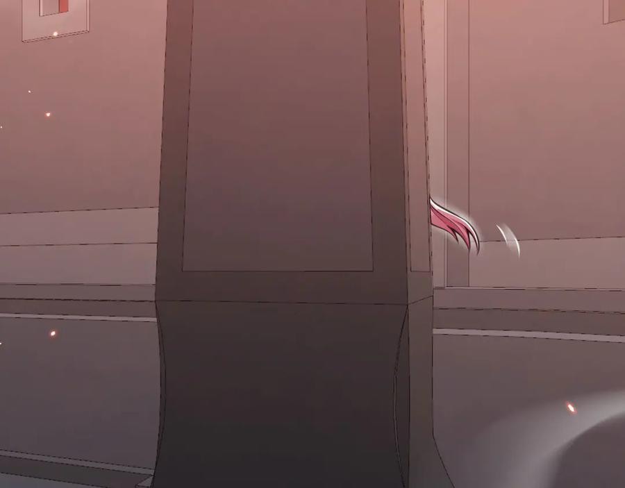 第215页