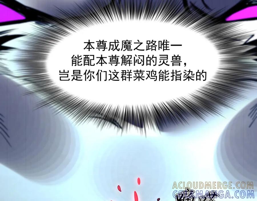 第217页
