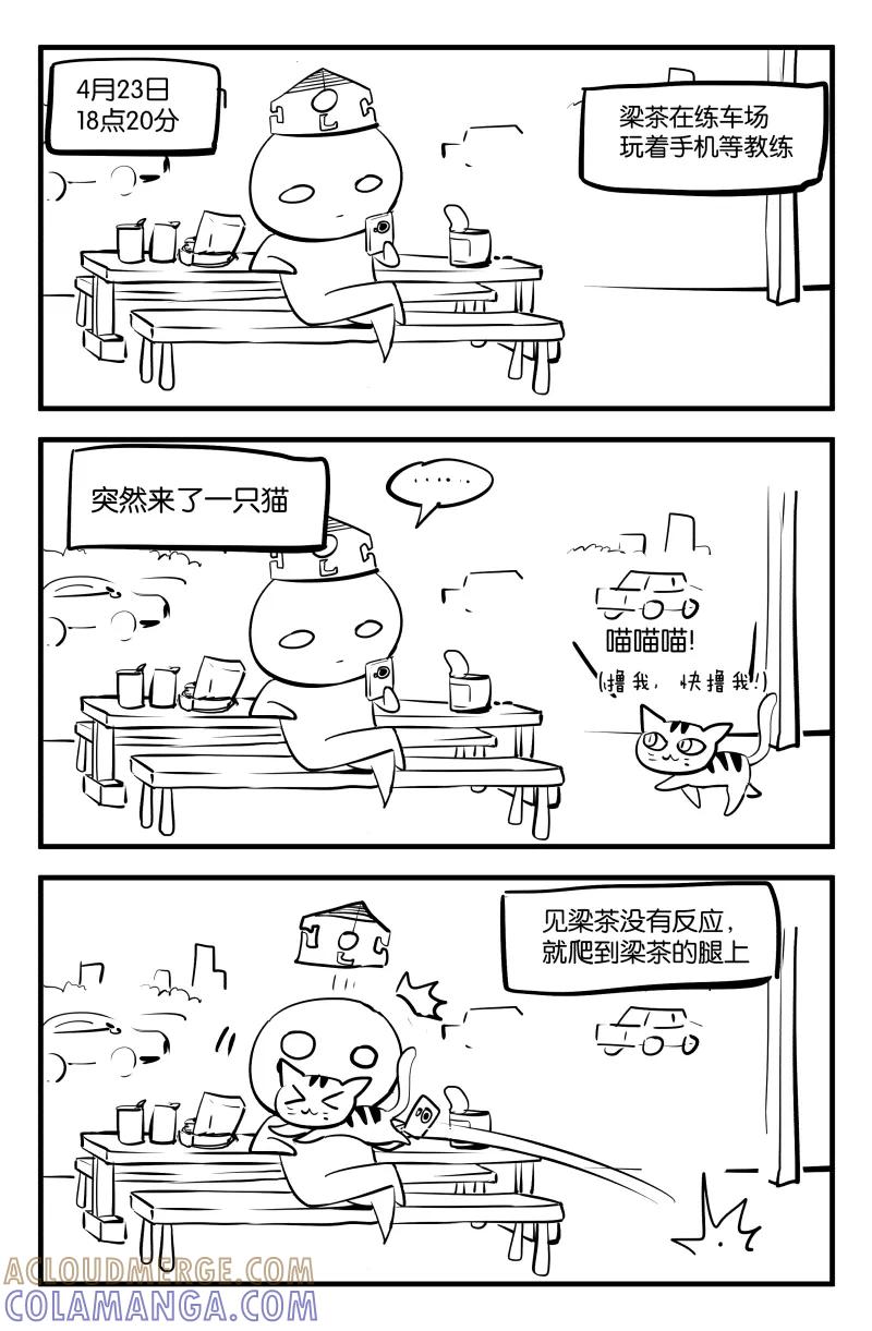 第3页