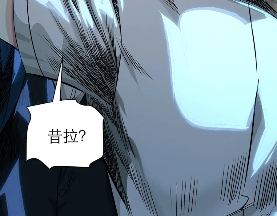 第223页