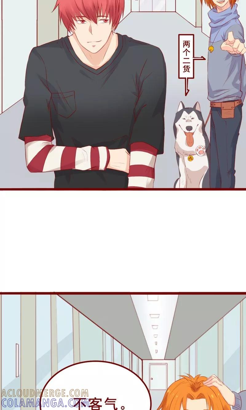 第40页