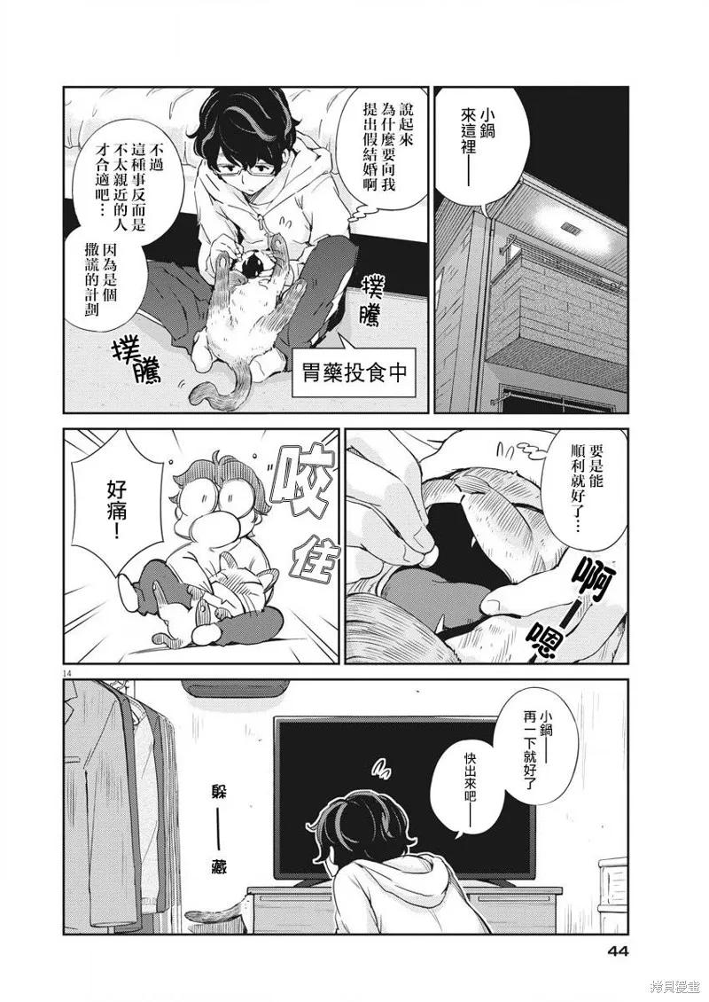 第14页