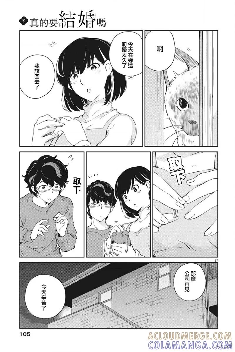 第17页