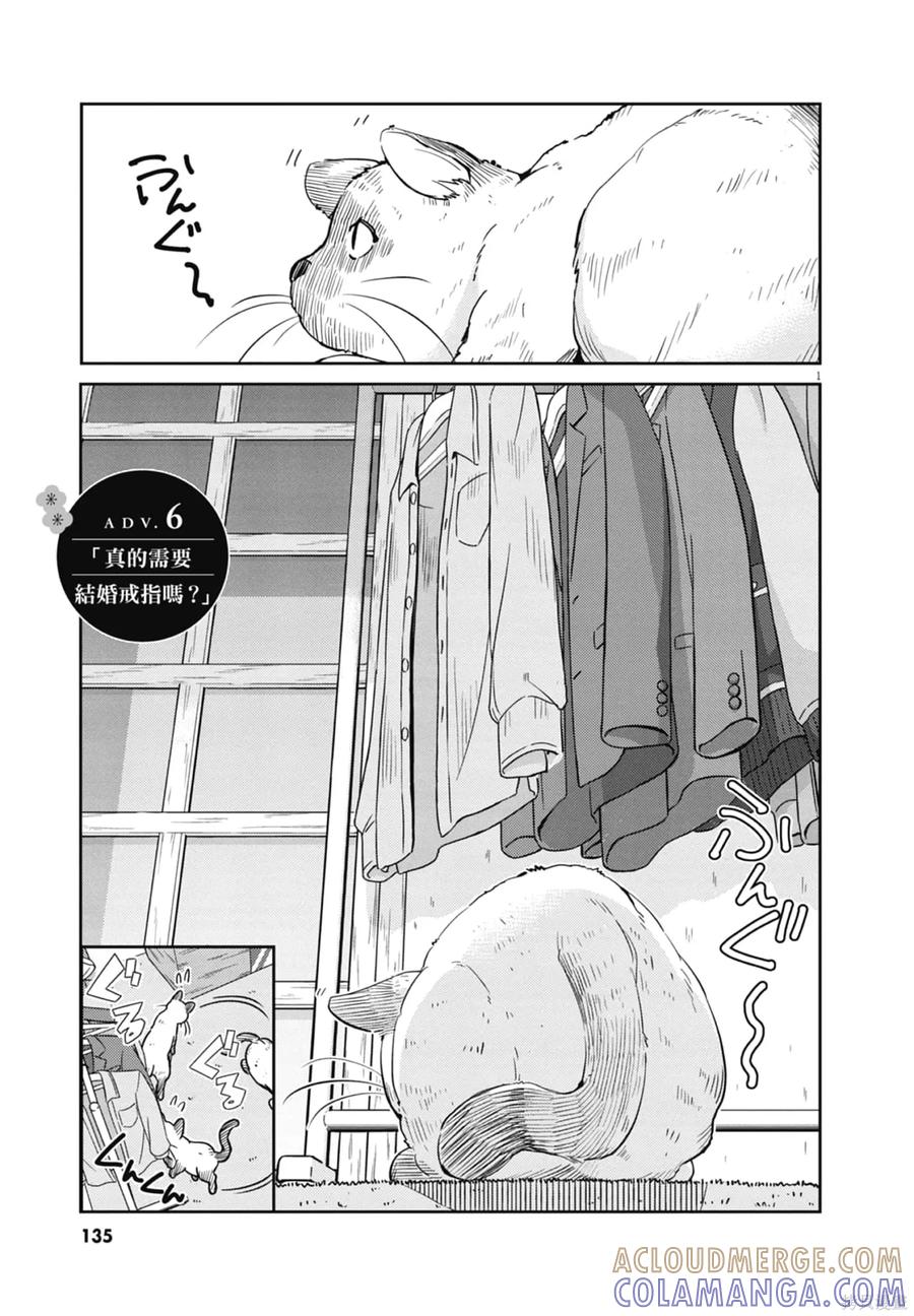 第137页