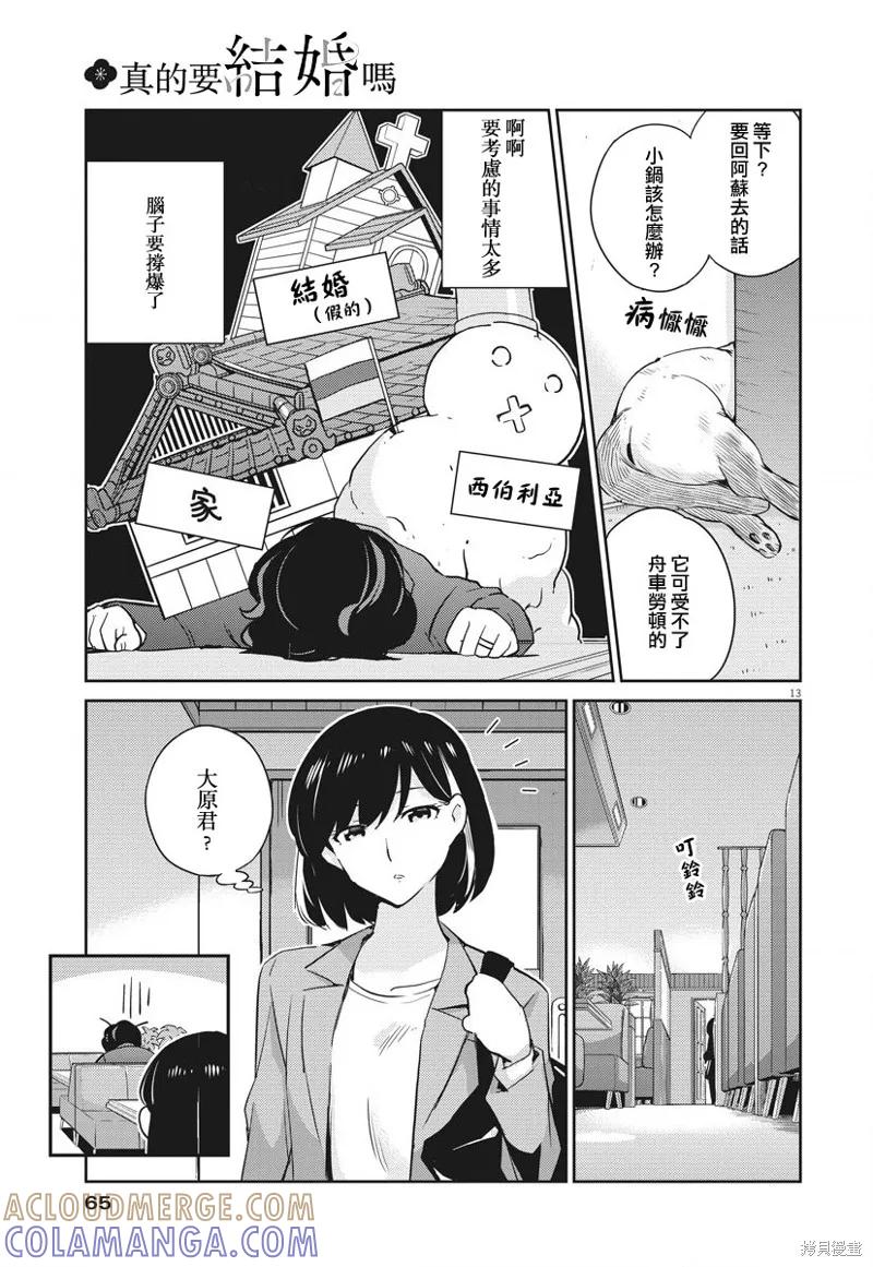 第13页