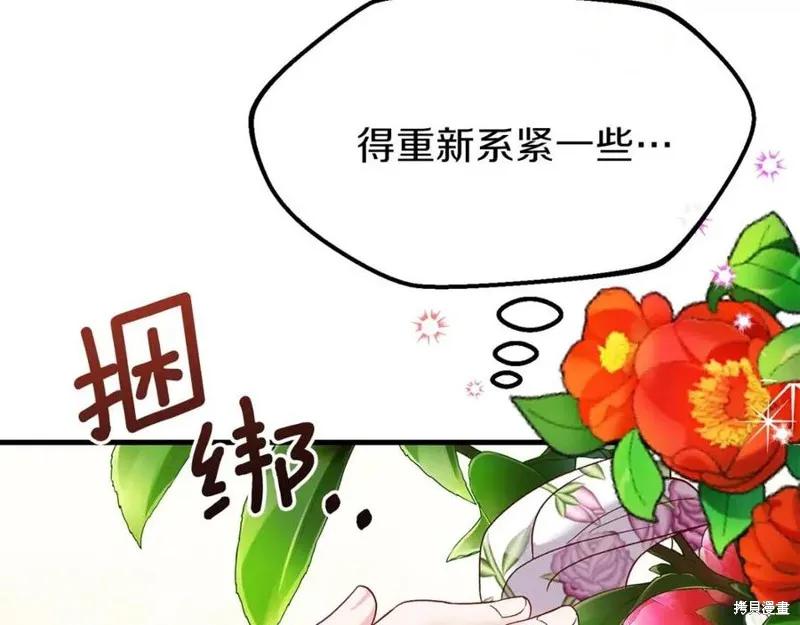 第223页