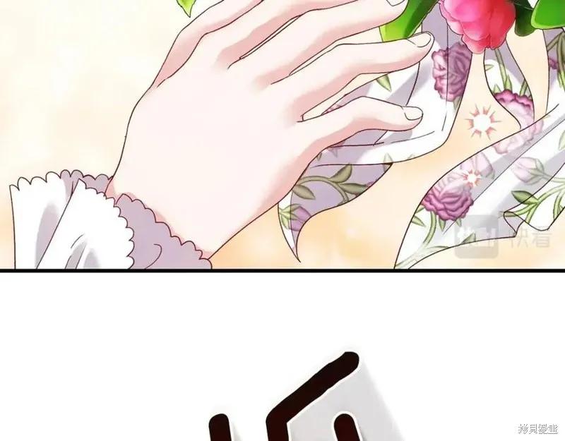 第224页