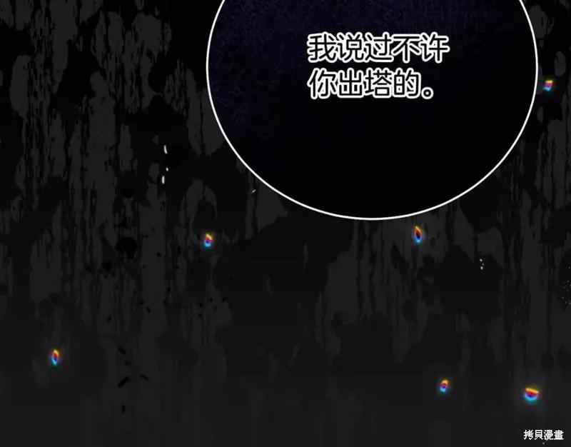 第206页