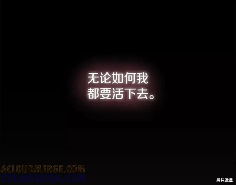 第217页