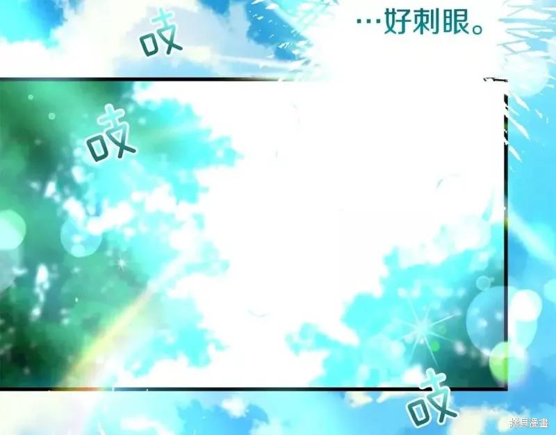第202页