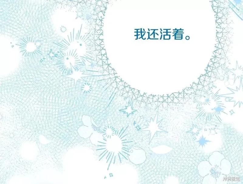 第207页