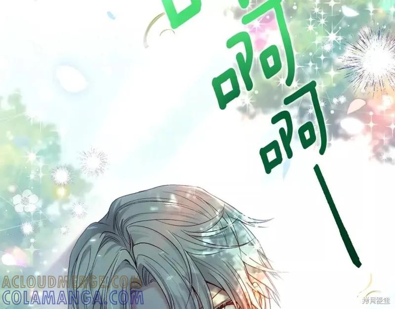 第213页
