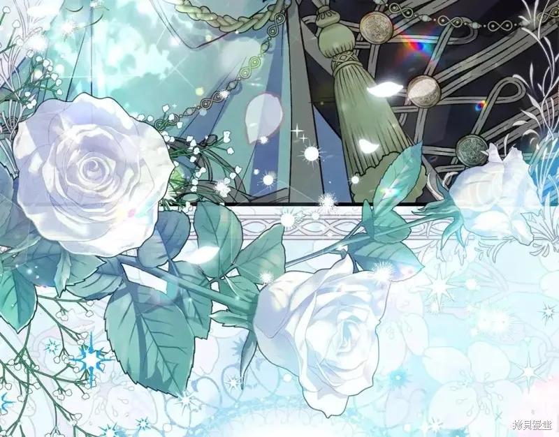 第215页