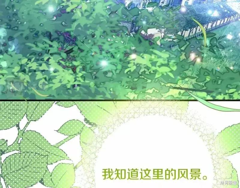 第211页