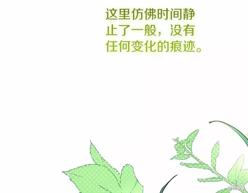 第215页