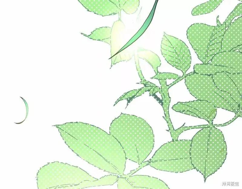第216页